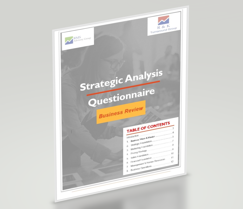 Strategic Questionnaire screenshot 2D-1